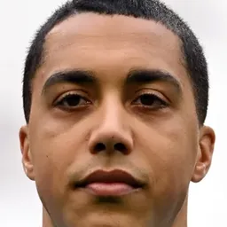 Youri TIELEMANS
