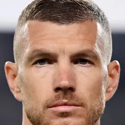 Edin DZEKO