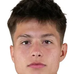 Esmir BAJRAKTAREVIC