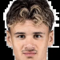 Kerim ALAJBEGOVIC