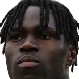 Wilfried SINGO