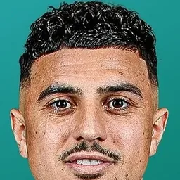 KARIM HAFEZ