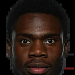 Dominique SIMON