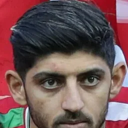 Mehdi TORABI