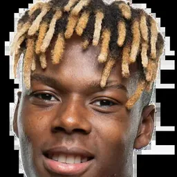 Nico WILLIAMS